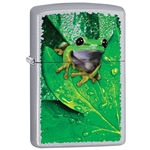 Zippo Frog on Leaf
