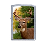 Zippo Buck Head 13177