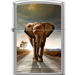 Zippo Elephant 12644