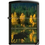 Zippo Autumn Moose